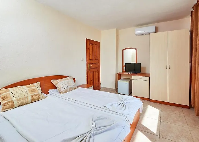 招待所 бор 帕莫瑞